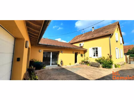 maison à rossfeld  près de benfeld  avec dépendance et jardin.