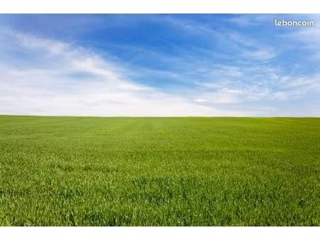 pré agricole  prairie