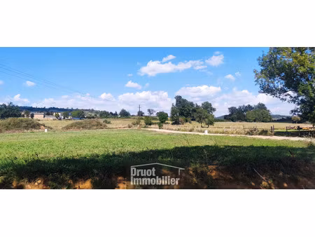 vente terrain saint-côme-d'olt 12500 - - surface privée