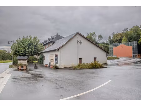 vente immeuble 8 pièces 707 m² à l'hôpital-saint-blaise (64130)  250 000 €