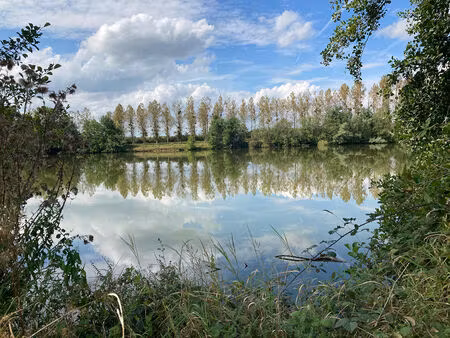 propriété composée d’étangs et parties boisées en haute-marne d’environ 11 hectares df-105