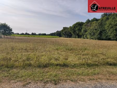 terrain constructible