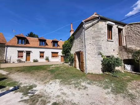 vente maison 10 pièces 198 m² sermaises (45300)