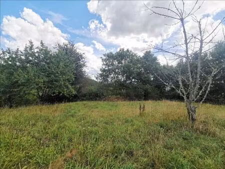 vente terrain 951 m² donzenac (19270)
