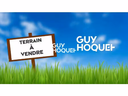 terrain constructible