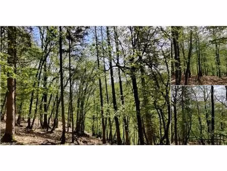 terrain agricole à vendre à warempage 10000 la roche-en-ardenne (vwd04500)