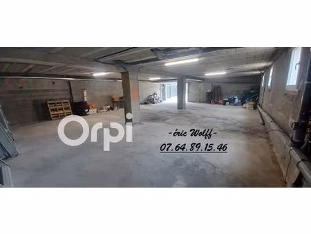 vente locaux professionnels 200 m² à izeaux (38140)  80 000 €