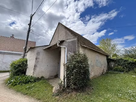 vente locaux professionnels 2 pièces 80 m² à amboise (37400)  49 000 €