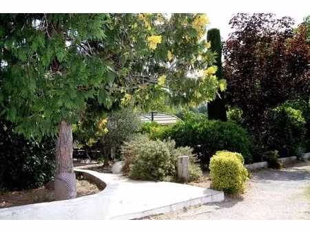 annonce commerce à vendre