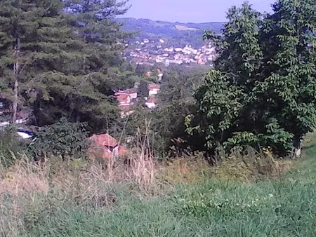 vente terrain 8317 m² à figeac (46100)  164 500 €