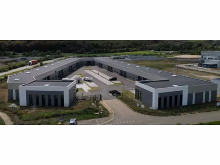 locaux d'activites loues a vendre