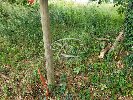 st loubes hyper centre