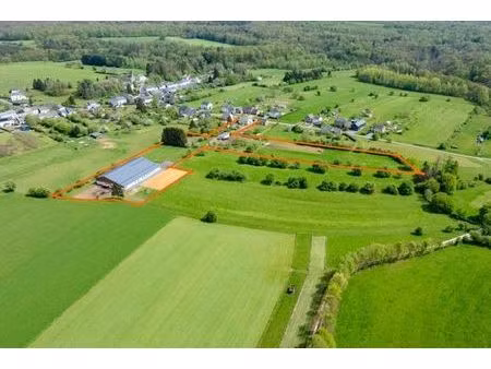option-superbe centre équestre à tintigny sur 2 hectares