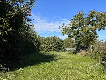 terrain constructible