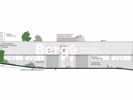 immobilier professionnel à louer mouans-sartoux