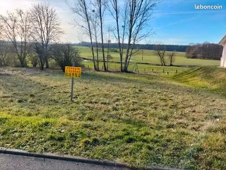 terrain 1321 m² villoncourt 88150