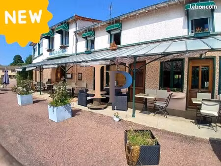 hôtel particulier 15 pièces 585 m²