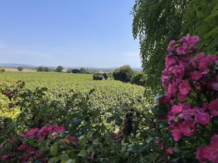 maison/villa d'exception à saint-thierry