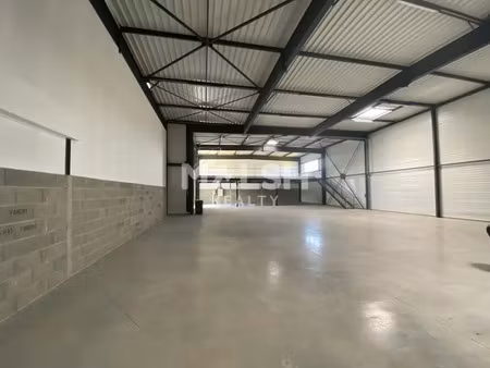 local d'activités neuf à frans - a vendre ou a louer - 538 m²