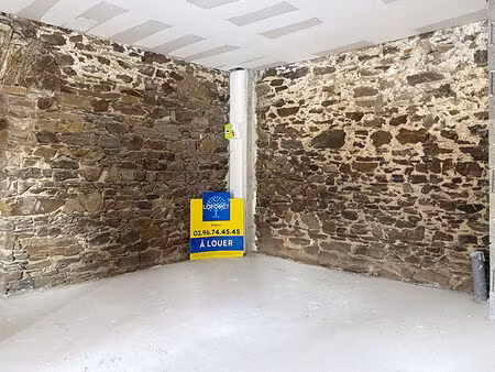 local commercial plérin à louer