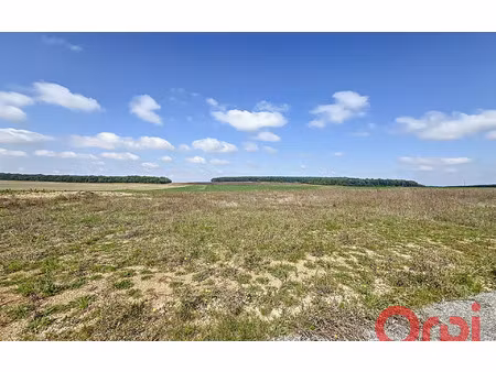 terrain brécy m² t- à vendre  30 000 €