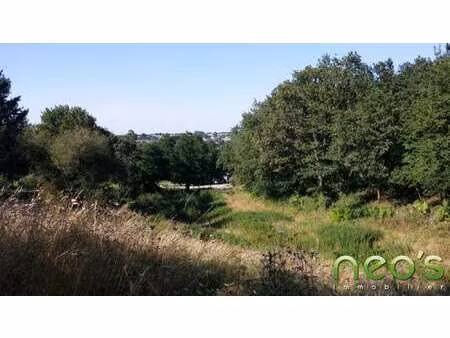 vente terrain à montfaucon-montigné (49230) : à vendre / 5194m² montfaucon-montigné