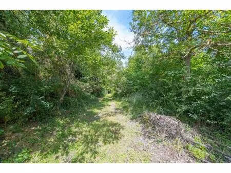 castanet centre vaste terrain à bâtir