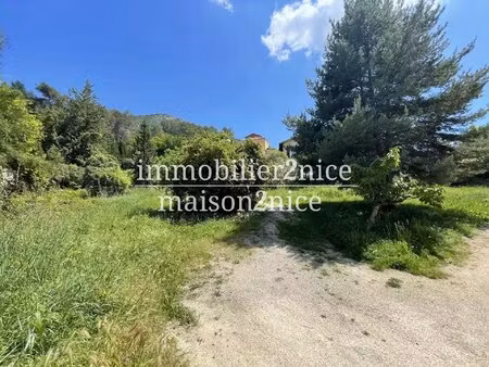 terrain viabilise peille