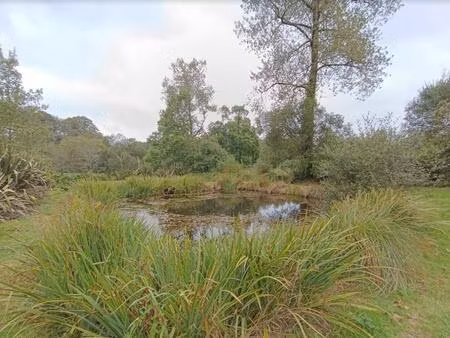 29530 plonévez du faou terrain non constructible arboré  entretenu avec pièce d'eau et boi