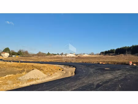 terrain a batir grisy suisnes