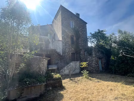 maison avec cour et jardin