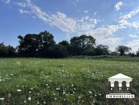 terrain constructible