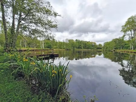 propriété d’agrément en sologne 6 hectares réf. df-1043-s