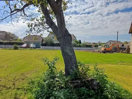 vente terrain 710 m² à labastide-cézéracq (64170)  62 580 €