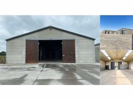 surface commerciale à louer à wingensesteenweg 128 tielt (rbj78226)