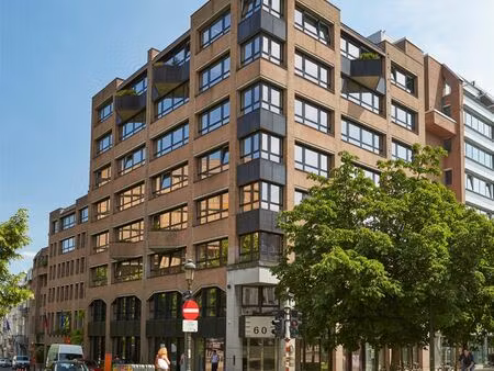 troon/ trône 60: 331m²