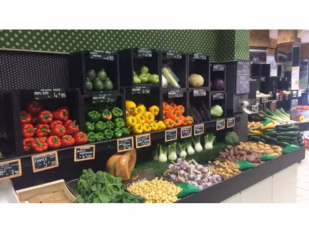 vente commerce 80 m² saint-brieuc (22000)