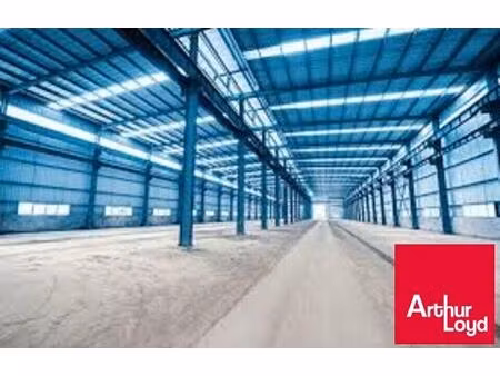 location commerce 1000 m² à hendaye (64700)