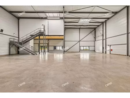 vente local d'activités ollainville 3 764 m²