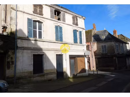 vente maison 5 pièces 140 m² graçay (18310)