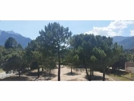 maison de 10 pièces de luxe en vente à moltifao  france