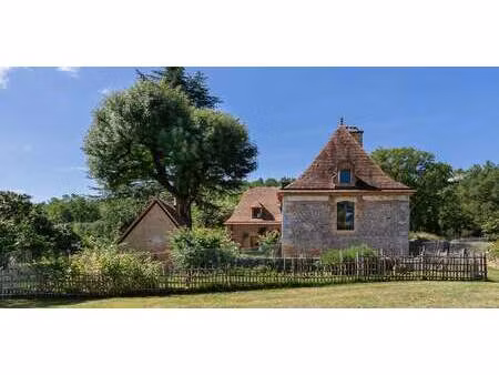 maison avec jardin trémolat (24)