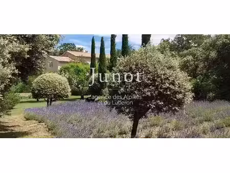 maison de campagne de luxe de 8 pièces en location bonnieux  france