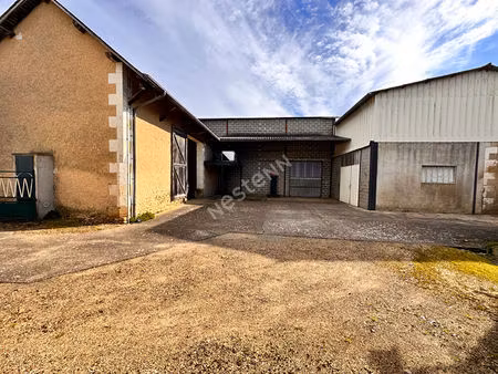 grands hangars de stockage à vendre d'environ 576 m² à nogent-sur-loir (72500)