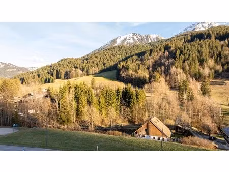 terrain a vendre abondance
