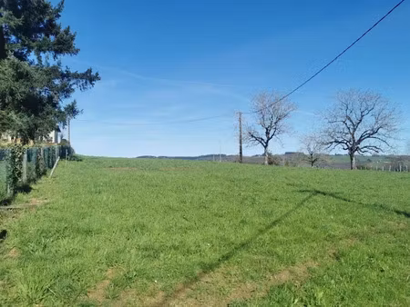 vente terrain 4503 m² à albignac (19190)  72 900 €