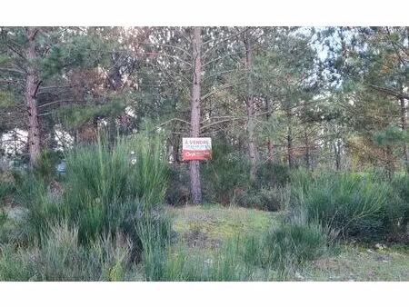 terrain casteljaloux 1278 m² t- à vendre  47 000 €