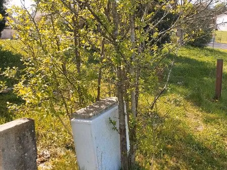 vends terrain viabilisé