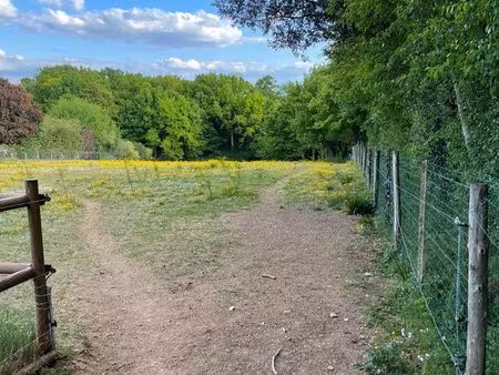terrain clos + box a chevaux