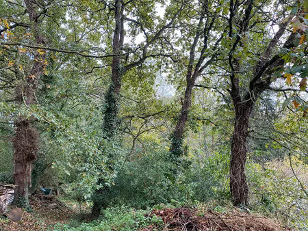 parcelle de terrain boisé près de planoet
